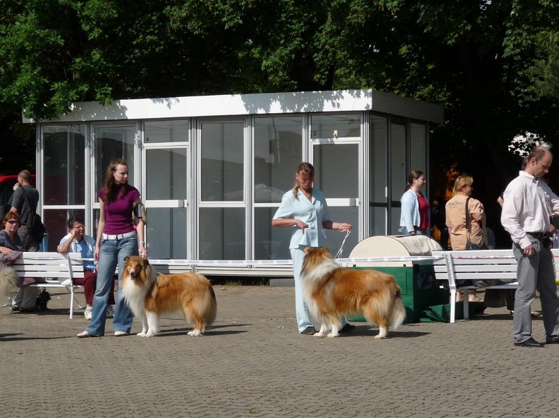 Litomerice 2009 010.jpg